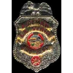 LA VERNE, CA FIRE DEPT FIREFIGHTER MINI BADGE PIN